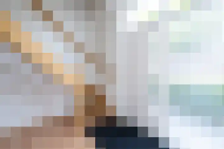 Oosteinde 2 Nieuwleusen thumbnail 28