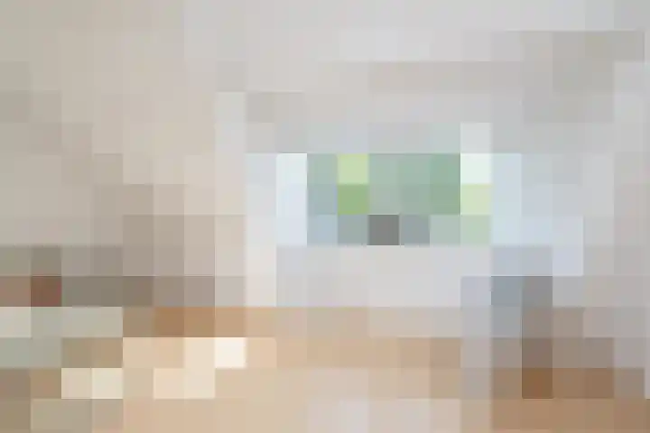 Oosteinde 2 Nieuwleusen thumbnail 30