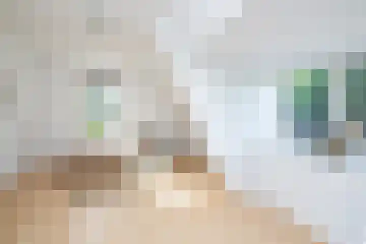 Oosteinde 2 Nieuwleusen thumbnail 31
