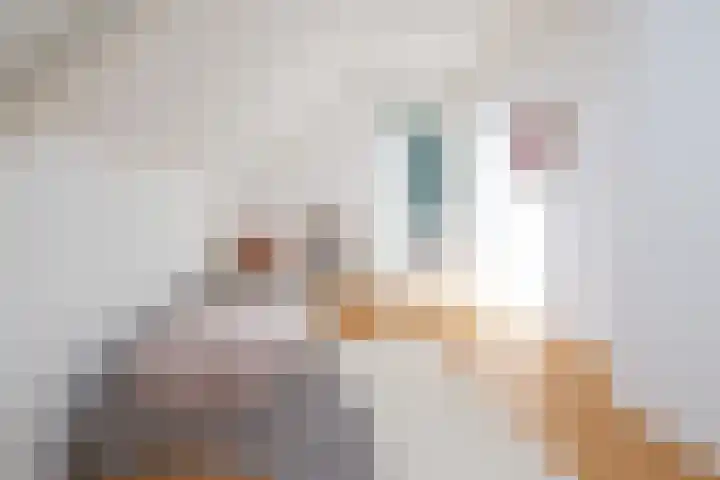 Oosteinde 2 Nieuwleusen thumbnail 33