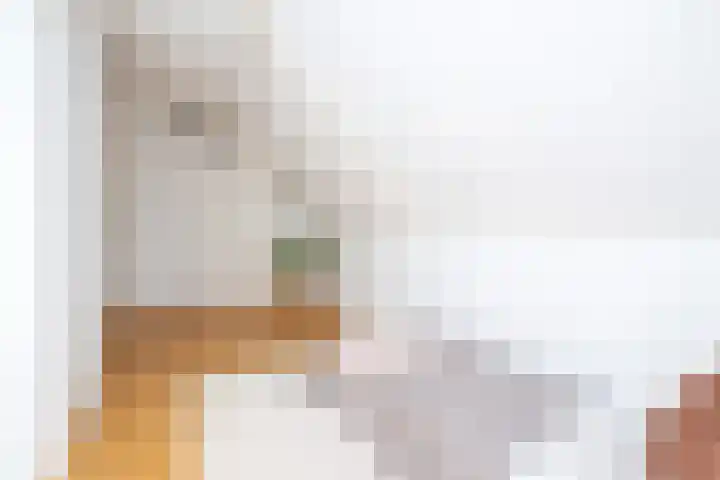 Oosteinde 2 Nieuwleusen thumbnail 34