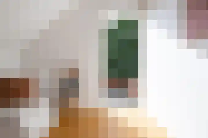 Oosteinde 2 Nieuwleusen thumbnail 35