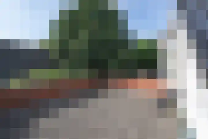 Oosteinde 2 Nieuwleusen thumbnail 37