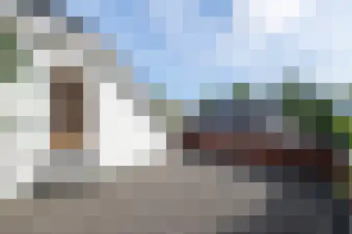 Oosteinde 2 Nieuwleusen thumbnail 38