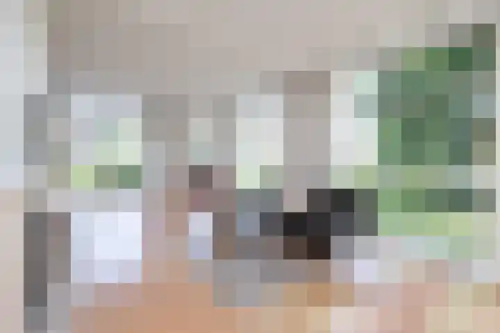 Oosteinde 2 Nieuwleusen thumbnail 4