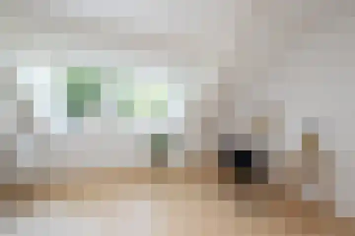Oosteinde 2 Nieuwleusen thumbnail 40