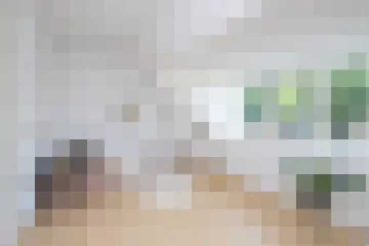 Oosteinde 2 Nieuwleusen thumbnail 41