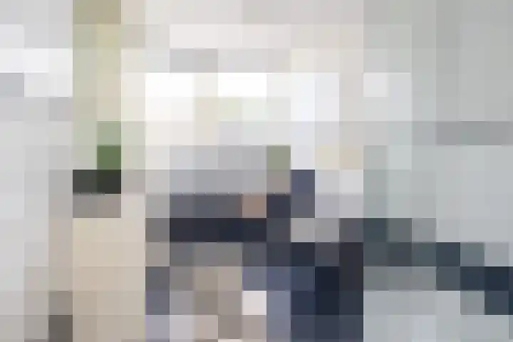 Oosteinde 2 Nieuwleusen thumbnail 42