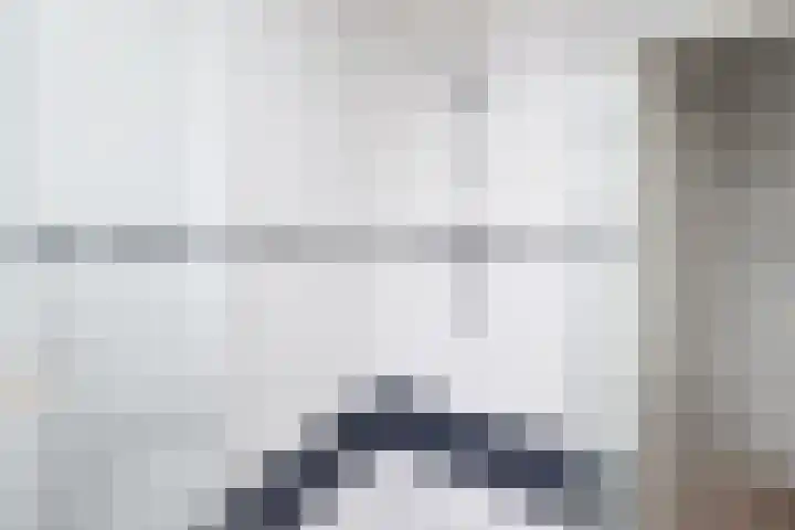 Oosteinde 2 Nieuwleusen thumbnail 43