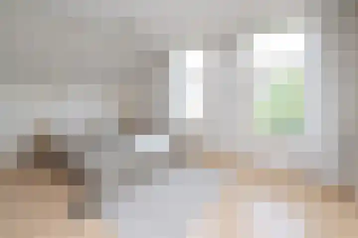 Oosteinde 2 Nieuwleusen thumbnail 44