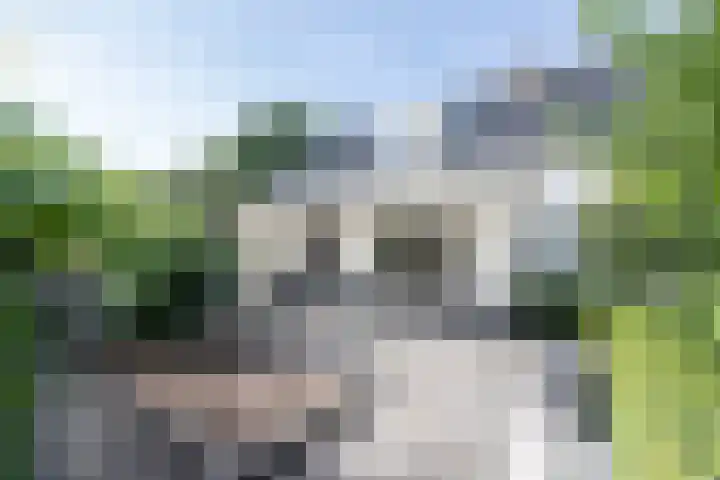 Oosteinde 2 Nieuwleusen thumbnail 47