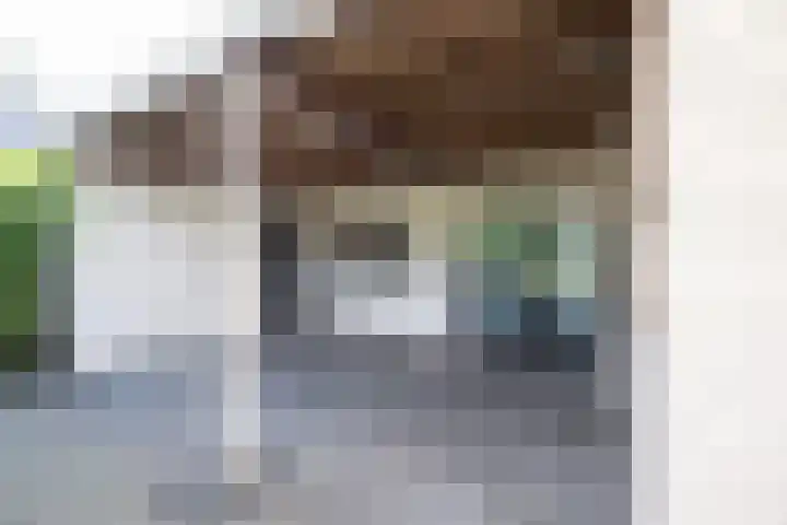 Oosteinde 2 Nieuwleusen thumbnail 48