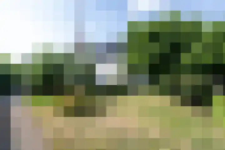 Oosteinde 2 Nieuwleusen thumbnail 50