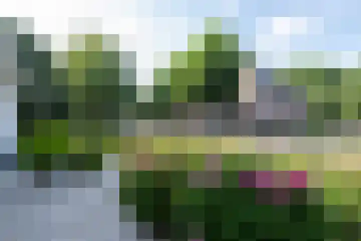 Oosteinde 2 Nieuwleusen thumbnail 51
