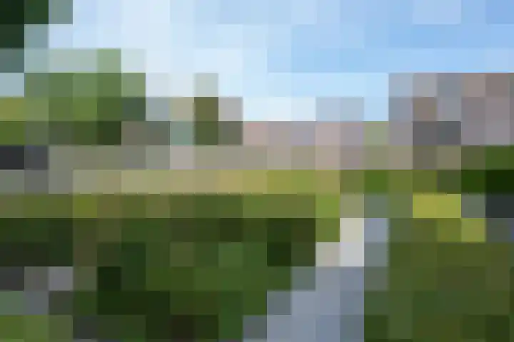 Oosteinde 2 Nieuwleusen thumbnail 52