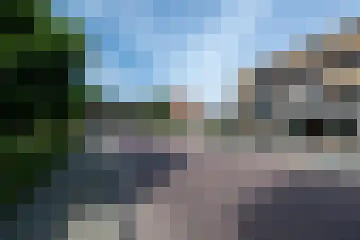 Oosteinde 2 Nieuwleusen thumbnail 53