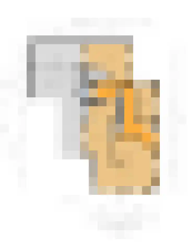 Oosteinde 2 Nieuwleusen thumbnail 54