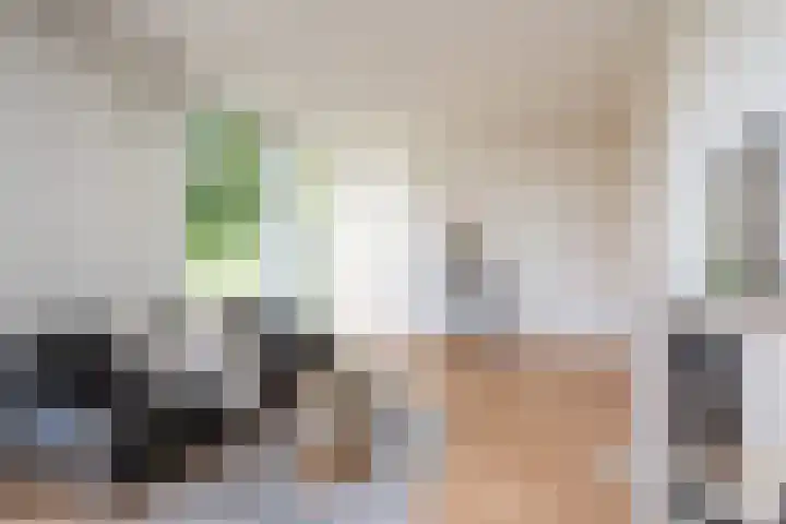 Oosteinde 2 Nieuwleusen thumbnail 6