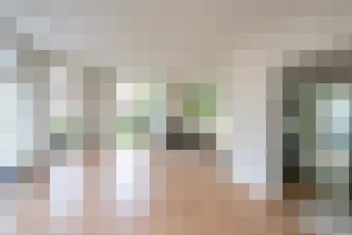 Oosteinde 2 Nieuwleusen thumbnail 7