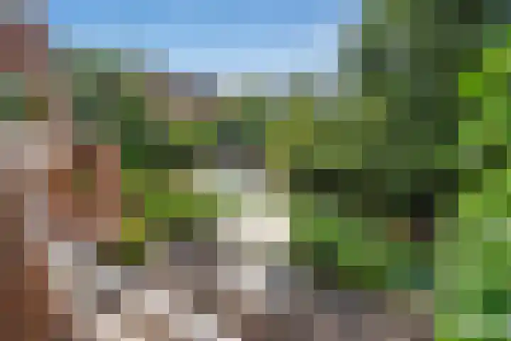 Oosteinde 20 Nootdorp thumbnail 13
