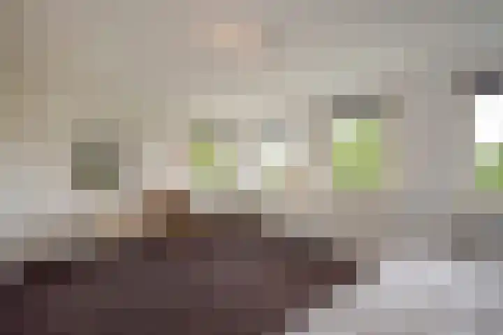 Oosteinde 20 Nootdorp thumbnail 28
