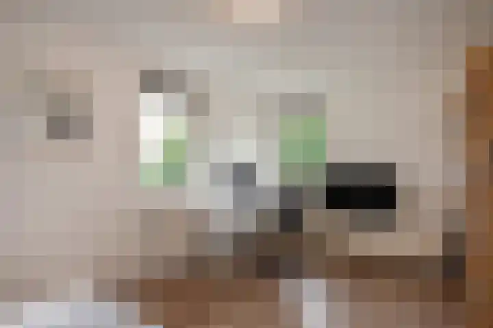Oosteinde 20 Nootdorp thumbnail 30