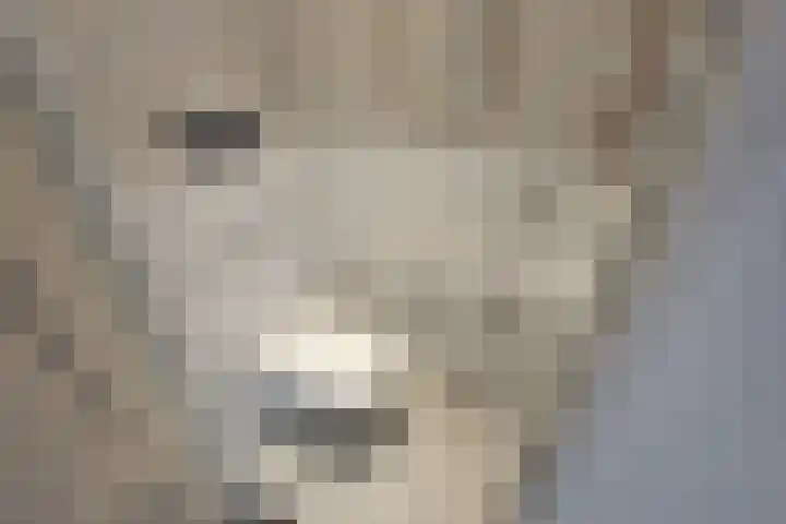 Oosteinde 20 Nootdorp thumbnail 34
