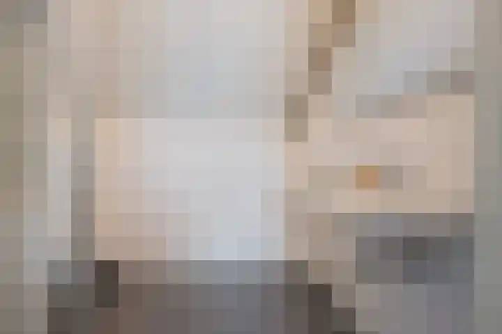 Oosteinde 20 Nootdorp thumbnail 38
