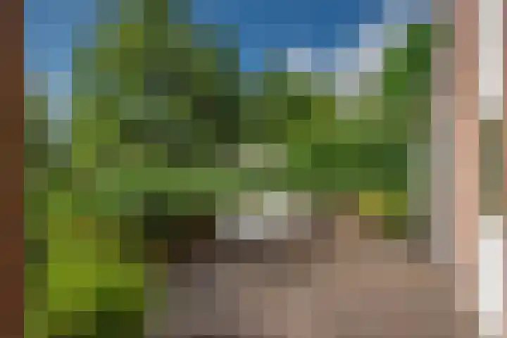 Oosteinde 20 Nootdorp thumbnail 41