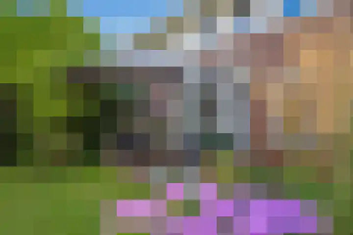Oosteinde 20 Nootdorp thumbnail 43