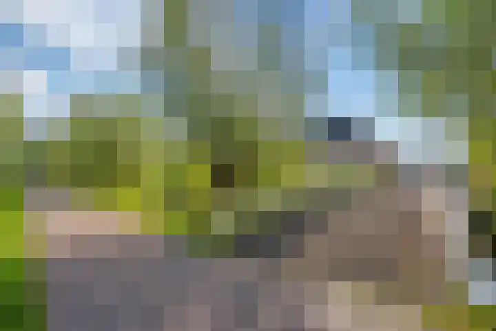 Oosteinde 20 Nootdorp thumbnail 45