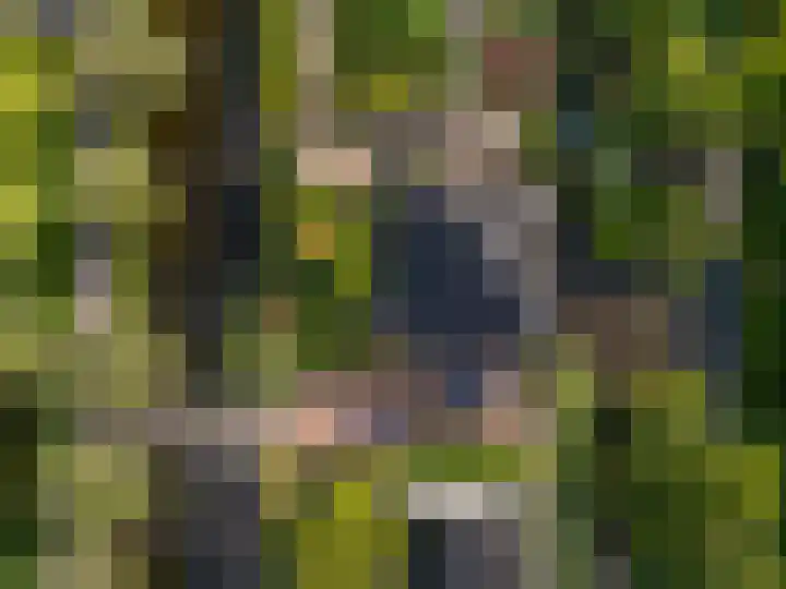 Oosteinde 20 Nootdorp thumbnail 48