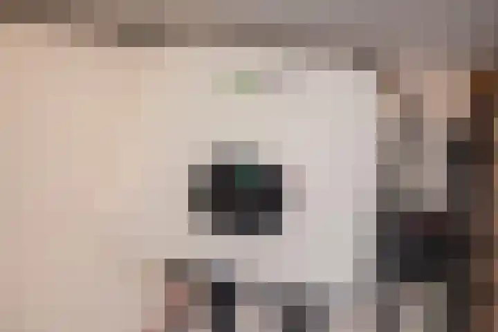 Oosteinde 20 Nootdorp thumbnail 49