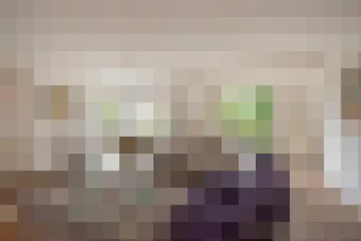 Oosteinde 20 Nootdorp thumbnail 7