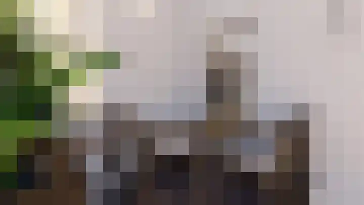 Oosteinde 21 c Hardenberg thumbnail 4