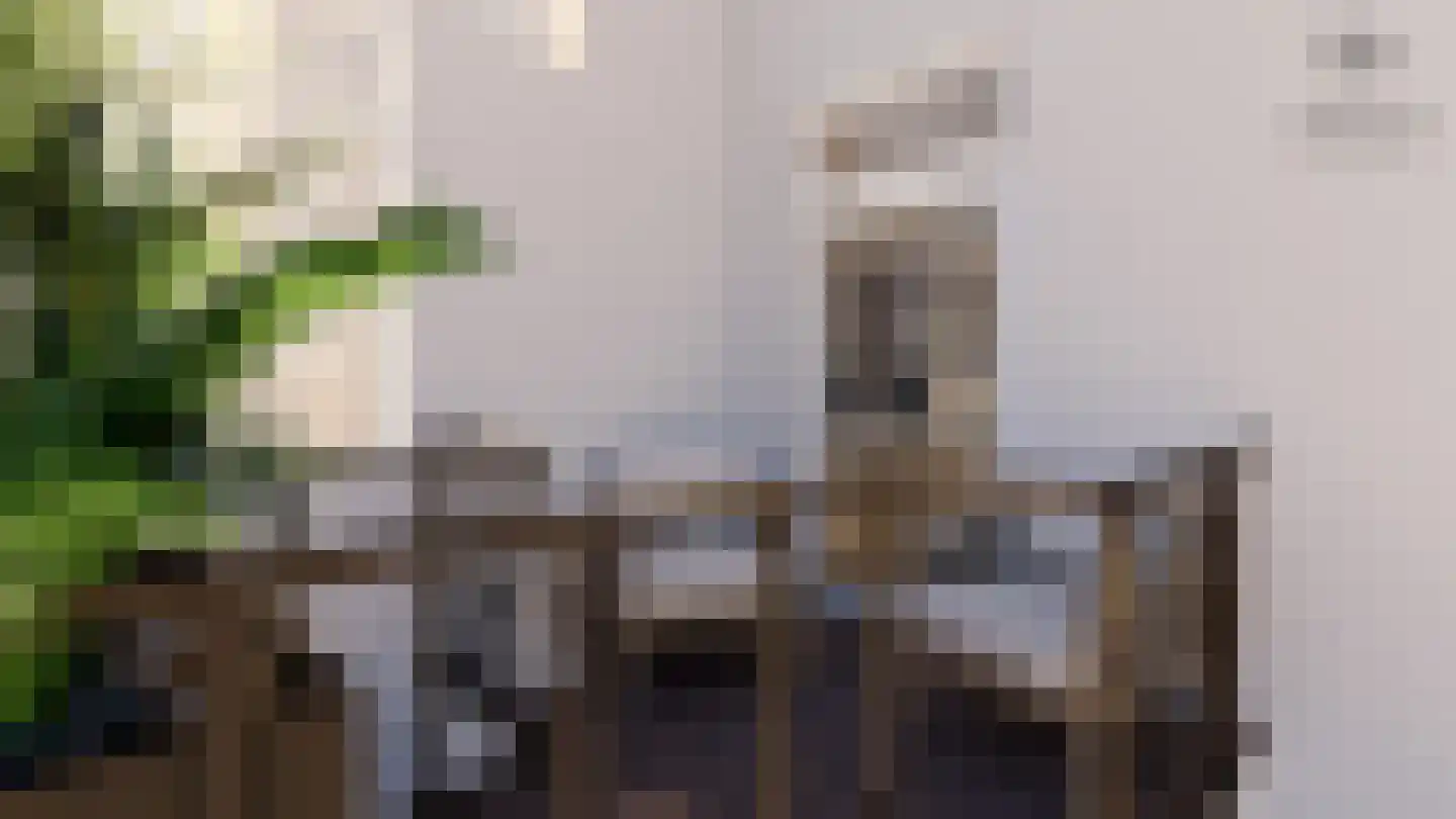 Oosteinde 21 c Hardenberg thumbnail 4