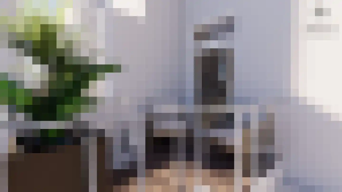 Oosteinde 21 c Hardenberg thumbnail 5