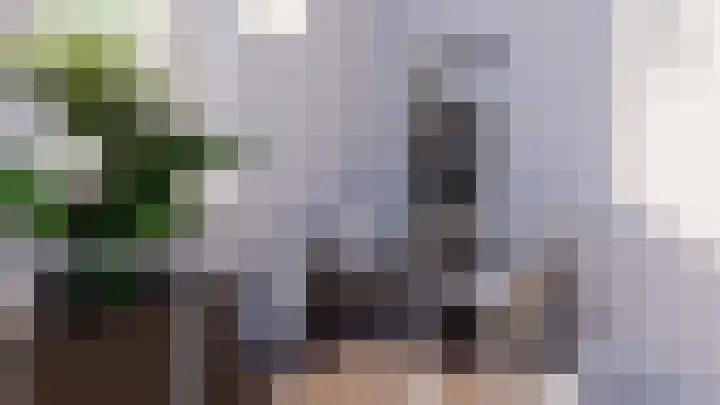Oosteinde 21 c Hardenberg thumbnail 5