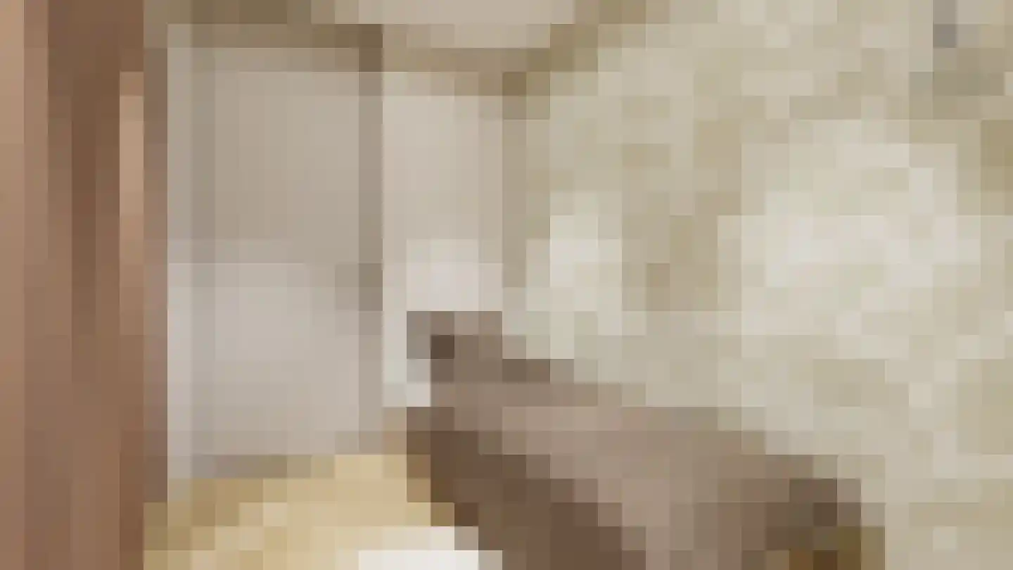Oosteinde 21 c Hardenberg thumbnail 8
