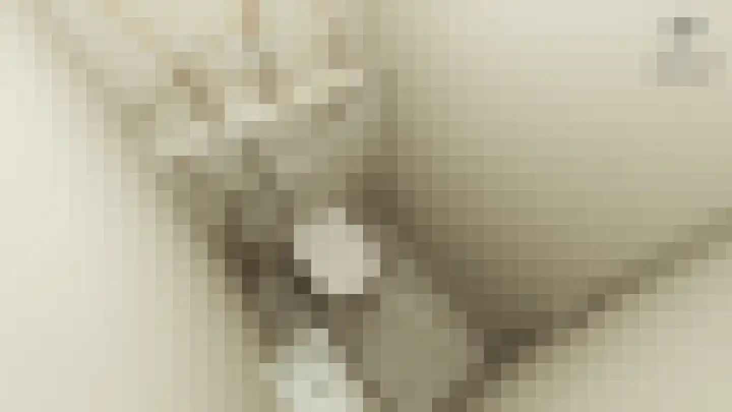 Oosteinde 21 c Hardenberg thumbnail 9