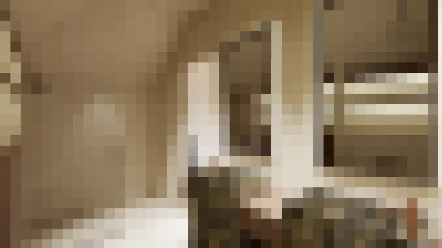 Oosteinde 21 e Hardenberg thumbnail 16