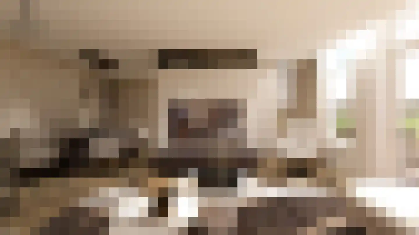 Oosteinde 21 e Hardenberg thumbnail 4