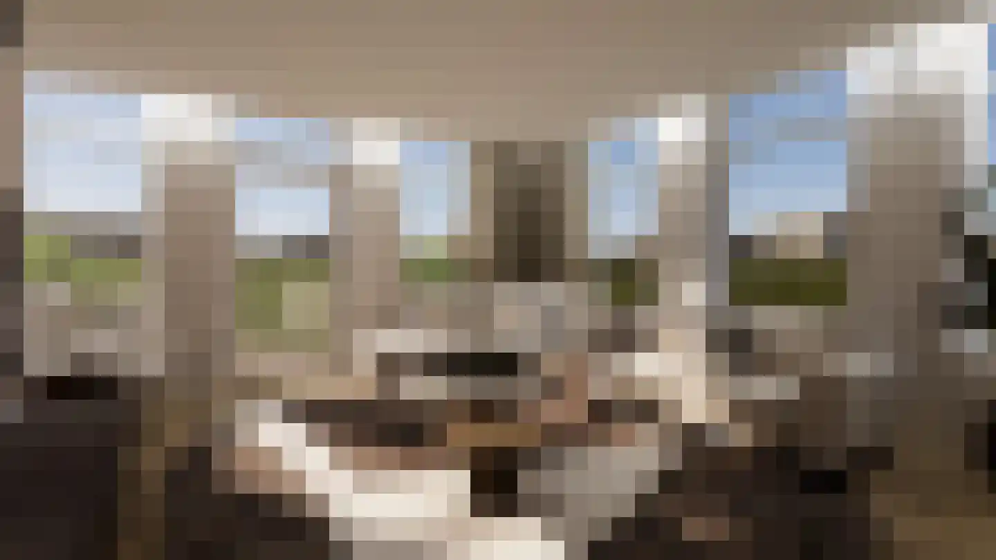 Oosteinde 21 e Hardenberg thumbnail 6