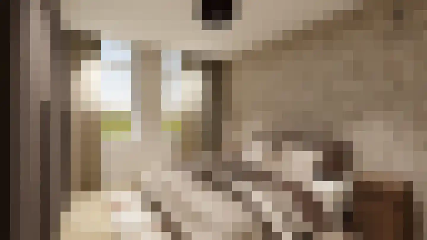 Oosteinde 21 e Hardenberg thumbnail 7