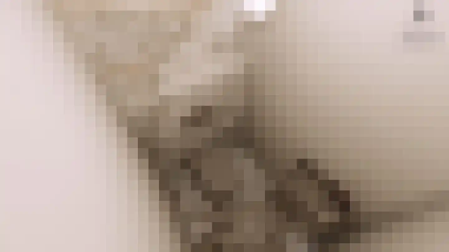 Oosteinde 21 e Hardenberg thumbnail 9