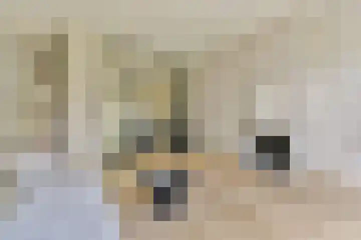 Oosteinde 21 H Amsterdam thumbnail 10