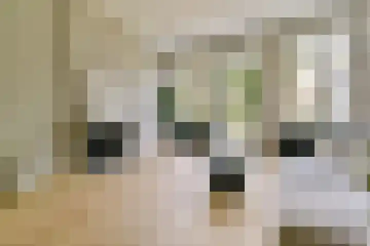 Oosteinde 21 H Amsterdam thumbnail 11