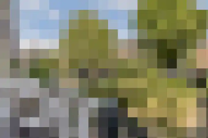 Oosteinde 21 H Amsterdam thumbnail 17