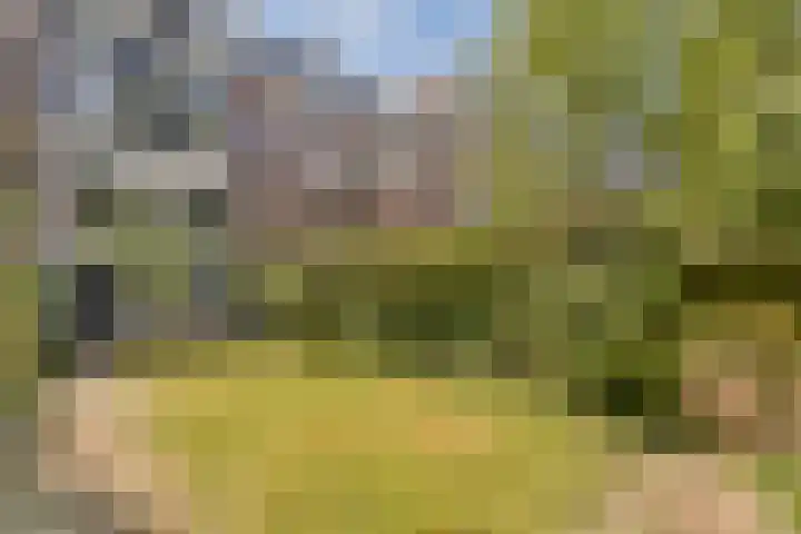 Oosteinde 21 H Amsterdam thumbnail 18