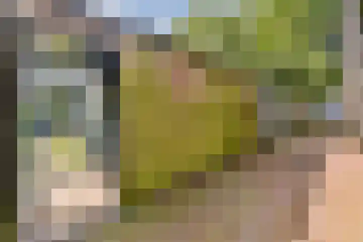 Oosteinde 21 H Amsterdam thumbnail 32